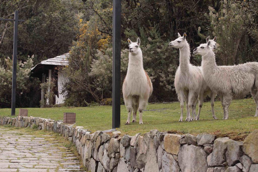 Hacienda Hosteria Dos Chorreras กูเอ็งกา ภายนอก รูปภาพ