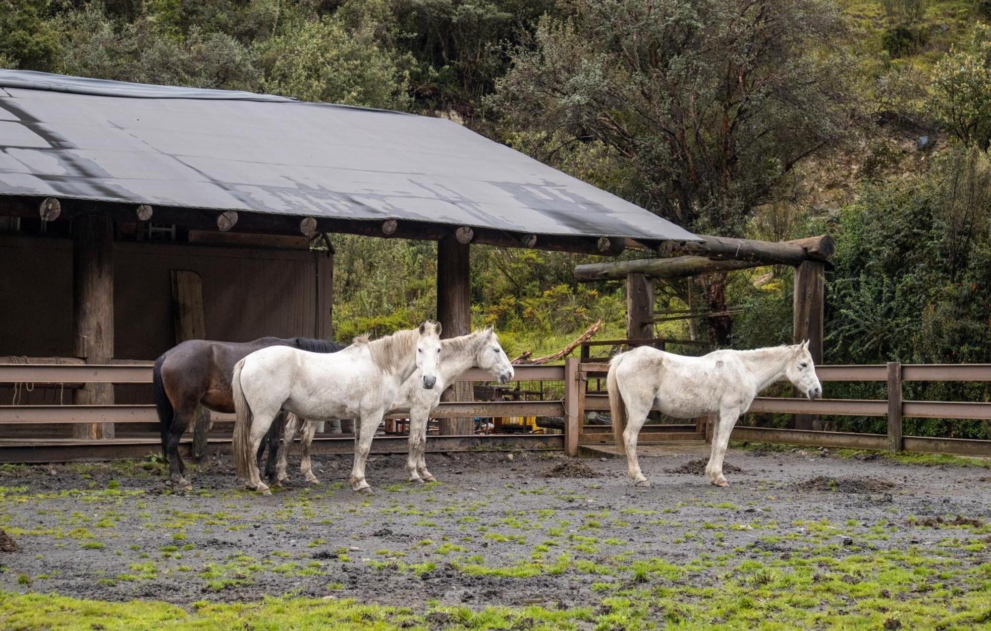 Hacienda Hosteria Dos Chorreras กูเอ็งกา ภายนอก รูปภาพ